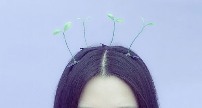sprout-hairpins-china-trend-5__700.jpg