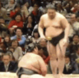 貴ノ富士 暴力行為で廃業確定!?何で繰り返すの!?